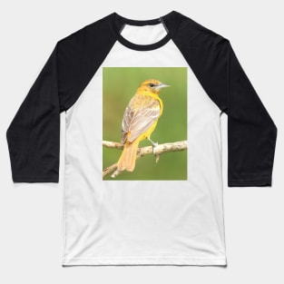 Baltimore Oriole bird with orange white feathers and green soft out of focus background Baseball T-Shirt